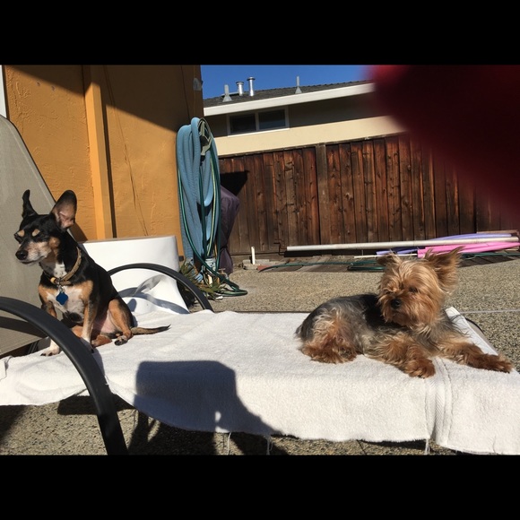 Meet your Posher, Daniel - Picture 1 of 1